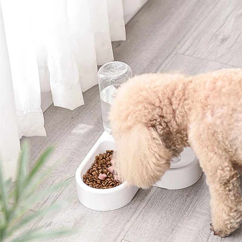 2-in-1 Pet Feeder & Hydration Station
