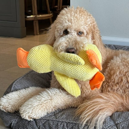 Durable Duck Dog Toy for High-Energy Chewers