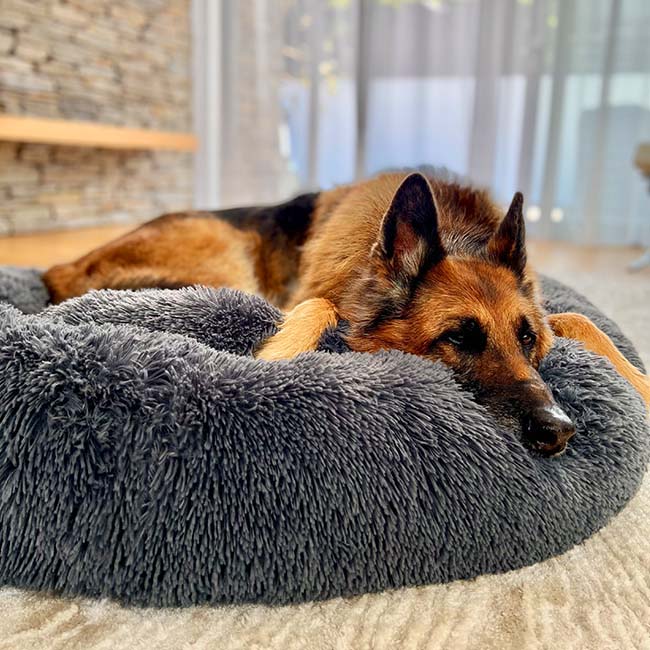 Serene Comfort Dog Bed for Restful Sleep