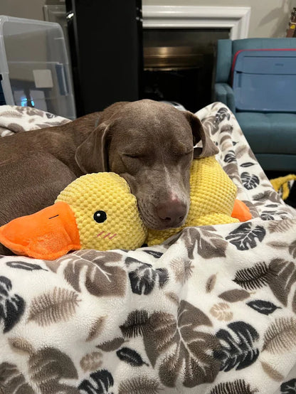 Durable Duck Dog Toy for High-Energy Chewers