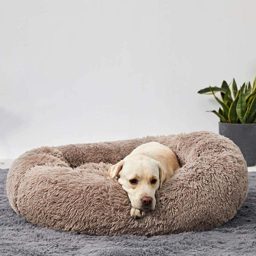 Serene Comfort Dog Bed for Restful Sleep