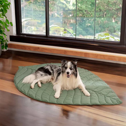 Nature-Inspired Leaf Pet Blanket – Stylish and Comfortable
