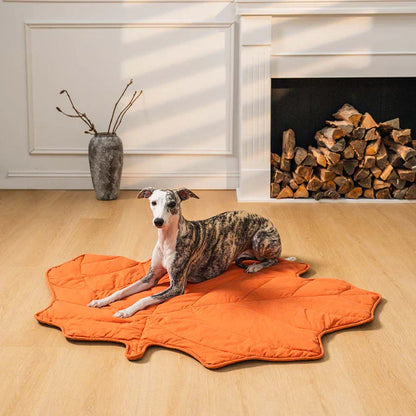 Nature-Inspired Leaf Pet Blanket – Stylish and Comfortable