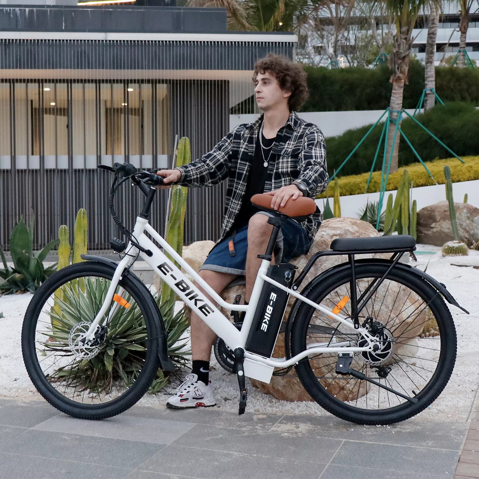 Electric bicycles for sale	