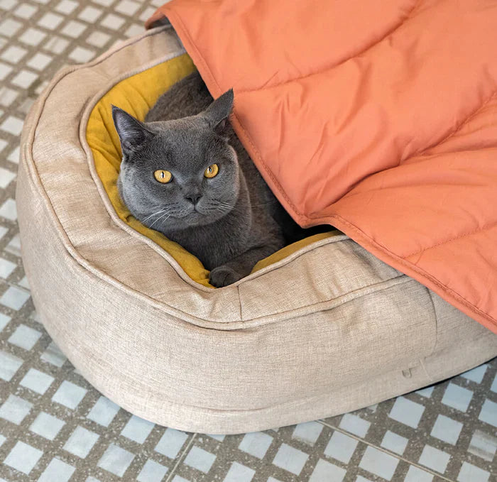 Nature-Inspired Leaf Pet Blanket – Stylish and Comfortable
