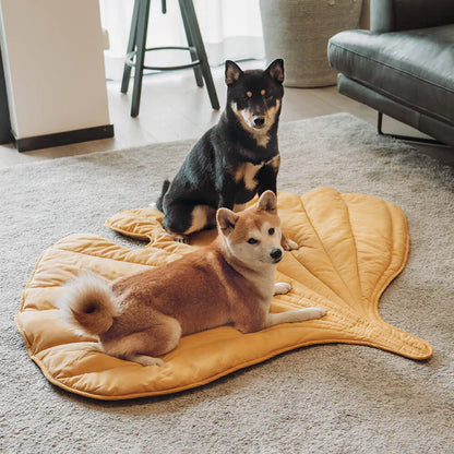 Nature-Inspired Leaf Pet Blanket – Stylish and Comfortable