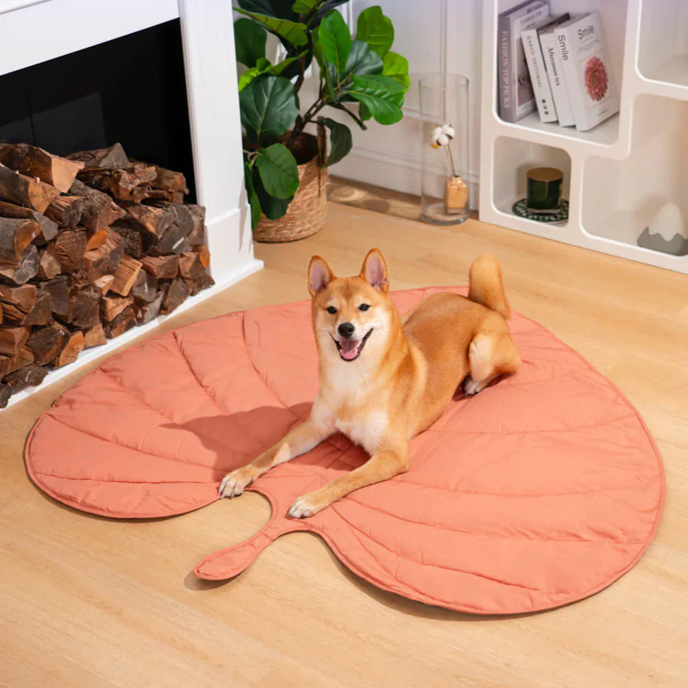 Nature-Inspired Leaf Pet Blanket – Stylish and Comfortable