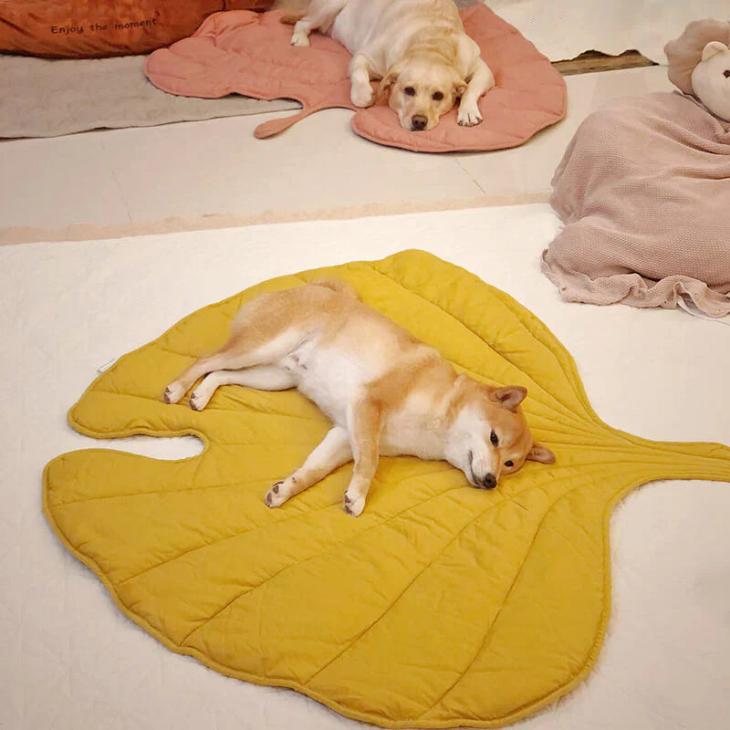 Nature-Inspired Leaf Pet Blanket – Stylish and Comfortable