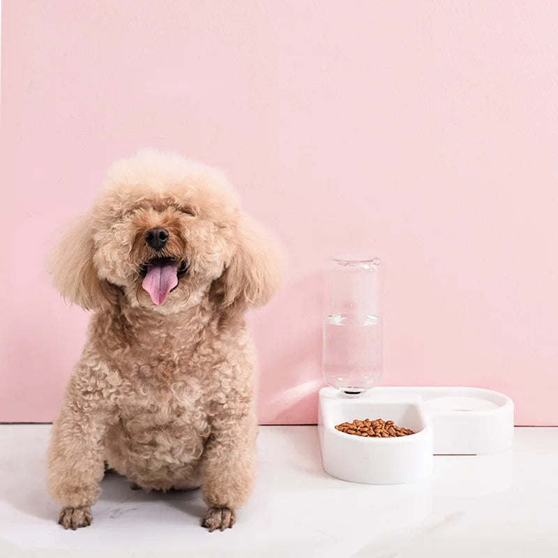 2-in-1 Pet Feeder & Hydration Station