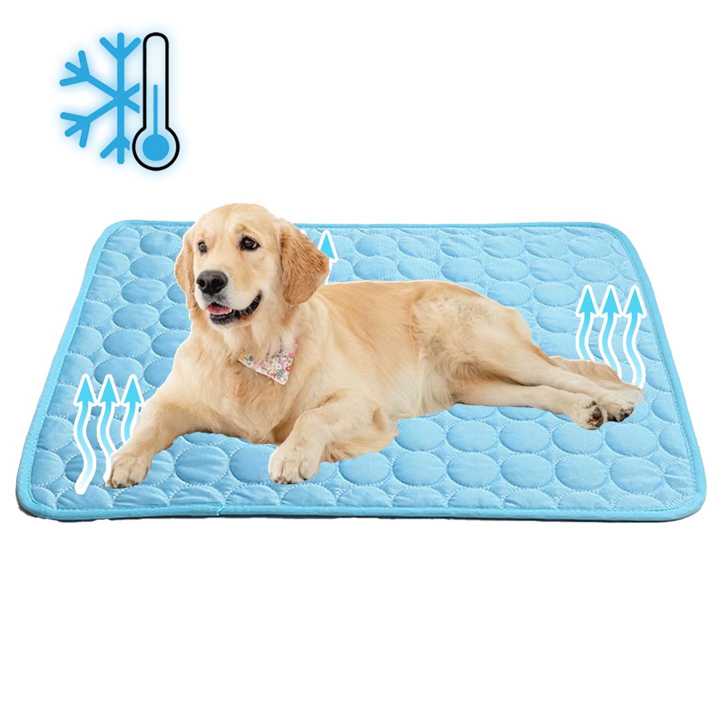 CoolPaws Pet Cooling Mat