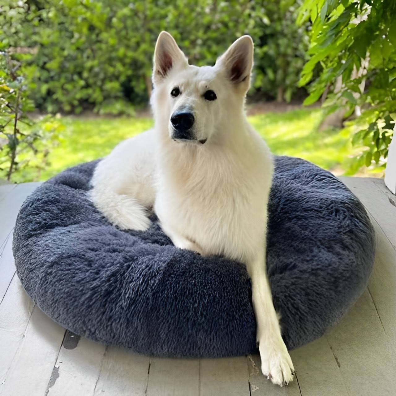 Serene Comfort Dog Bed for Restful Sleep