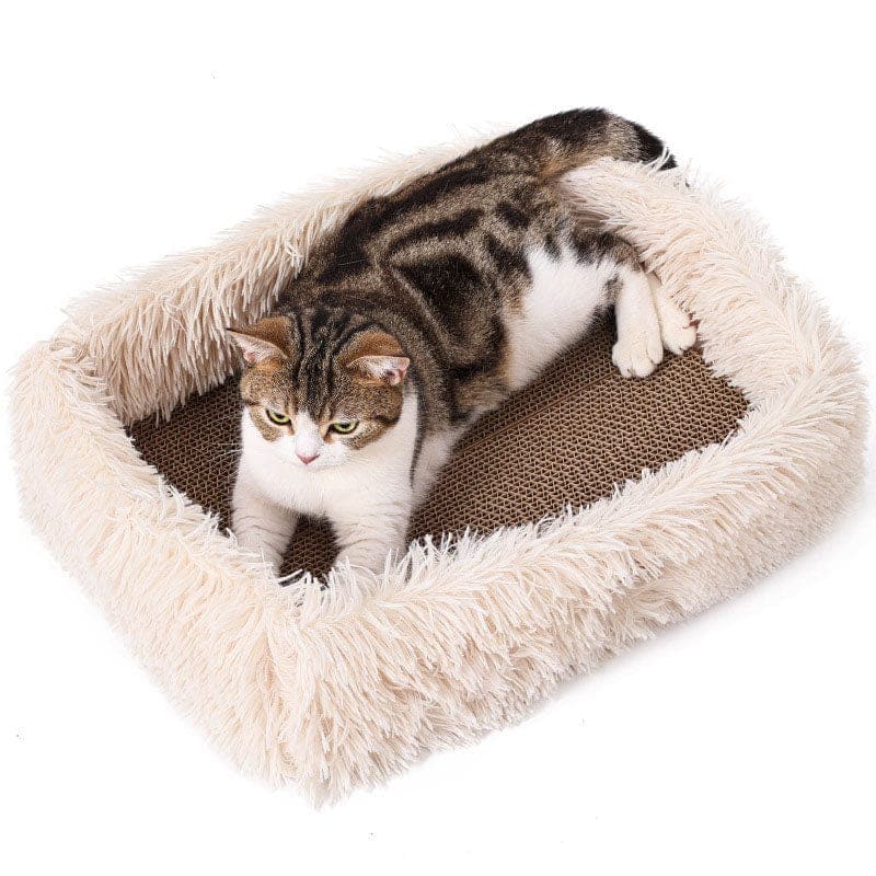 Dual-Function Cat Scratcher and Bed