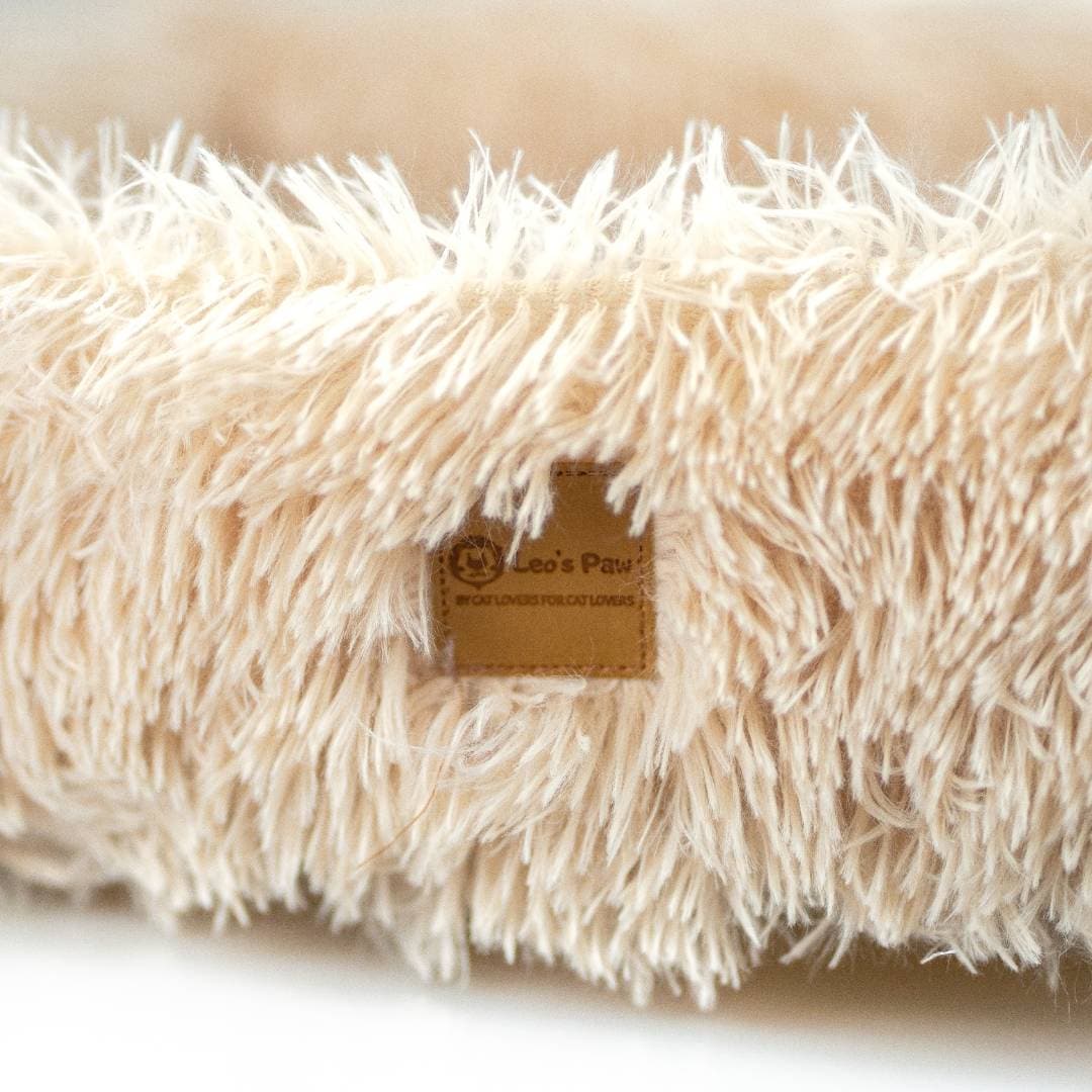 Dual-Function Cat Scratcher and Bed