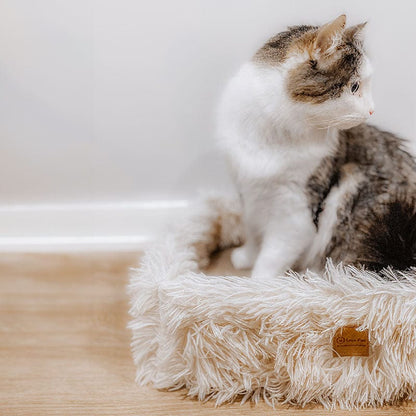 Dual-Function Cat Scratcher and Bed