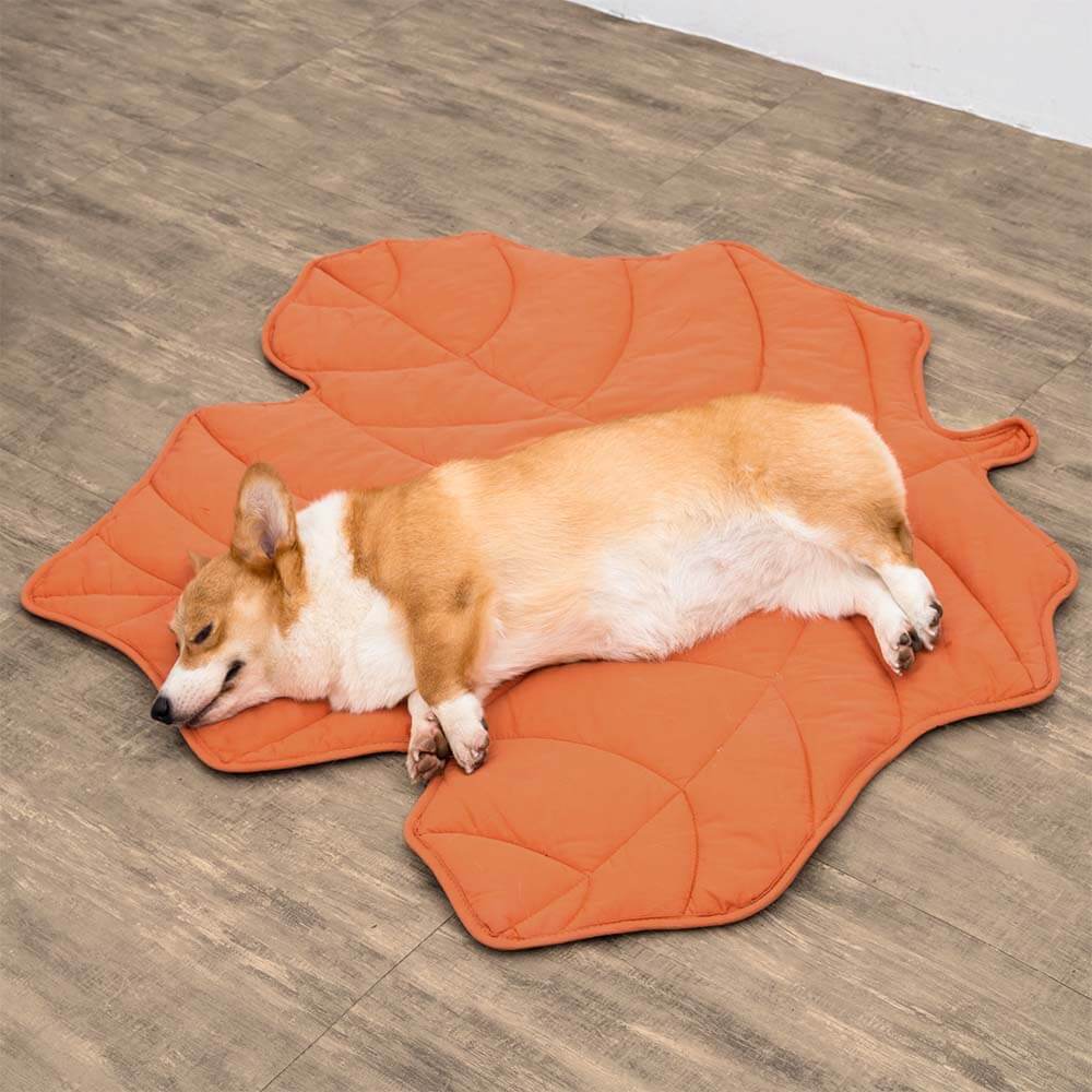 Nature-Inspired Leaf Pet Blanket – Stylish and Comfortable