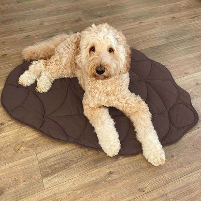 Nature-Inspired Leaf Pet Blanket – Stylish and Comfortable