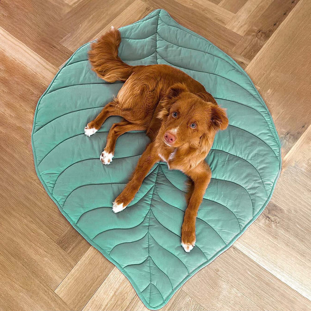 Nature-Inspired Leaf Pet Blanket – Stylish and Comfortable