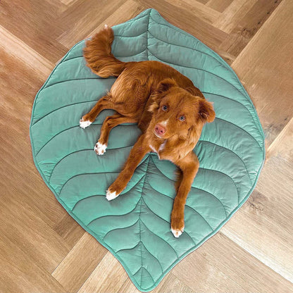 Nature-Inspired Leaf Pet Blanket – Stylish and Comfortable